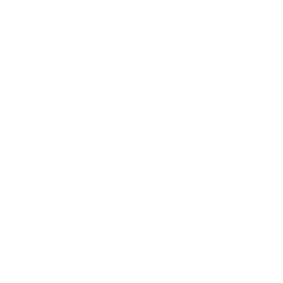 prev-slide